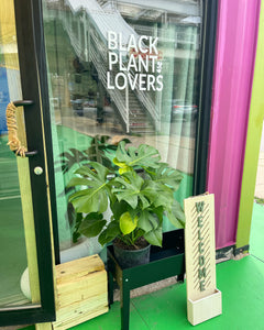 Store Hours: 7/4 - 7/10