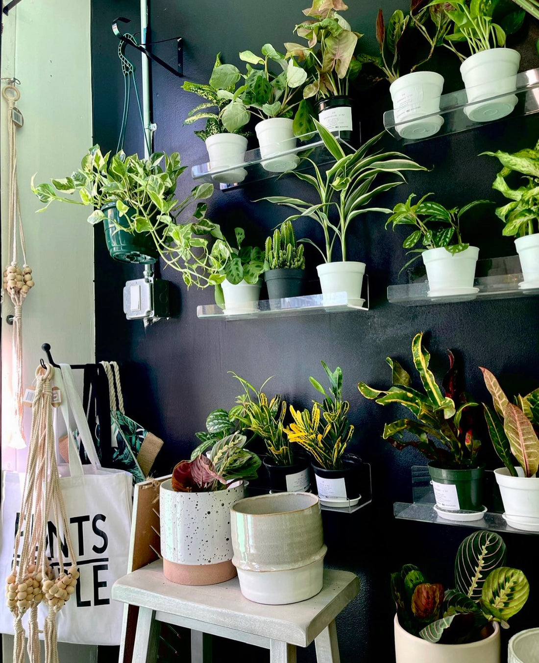 Happy New Year & Welcome Back!