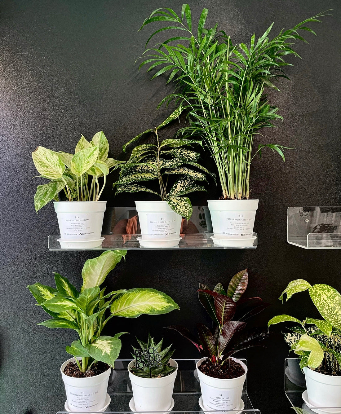 Shop Hours 3/5 - 3/11