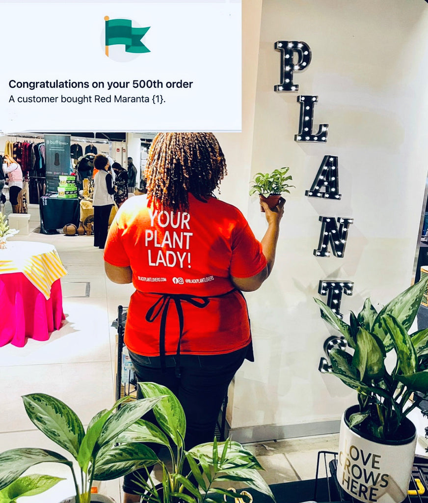 500th Sale!