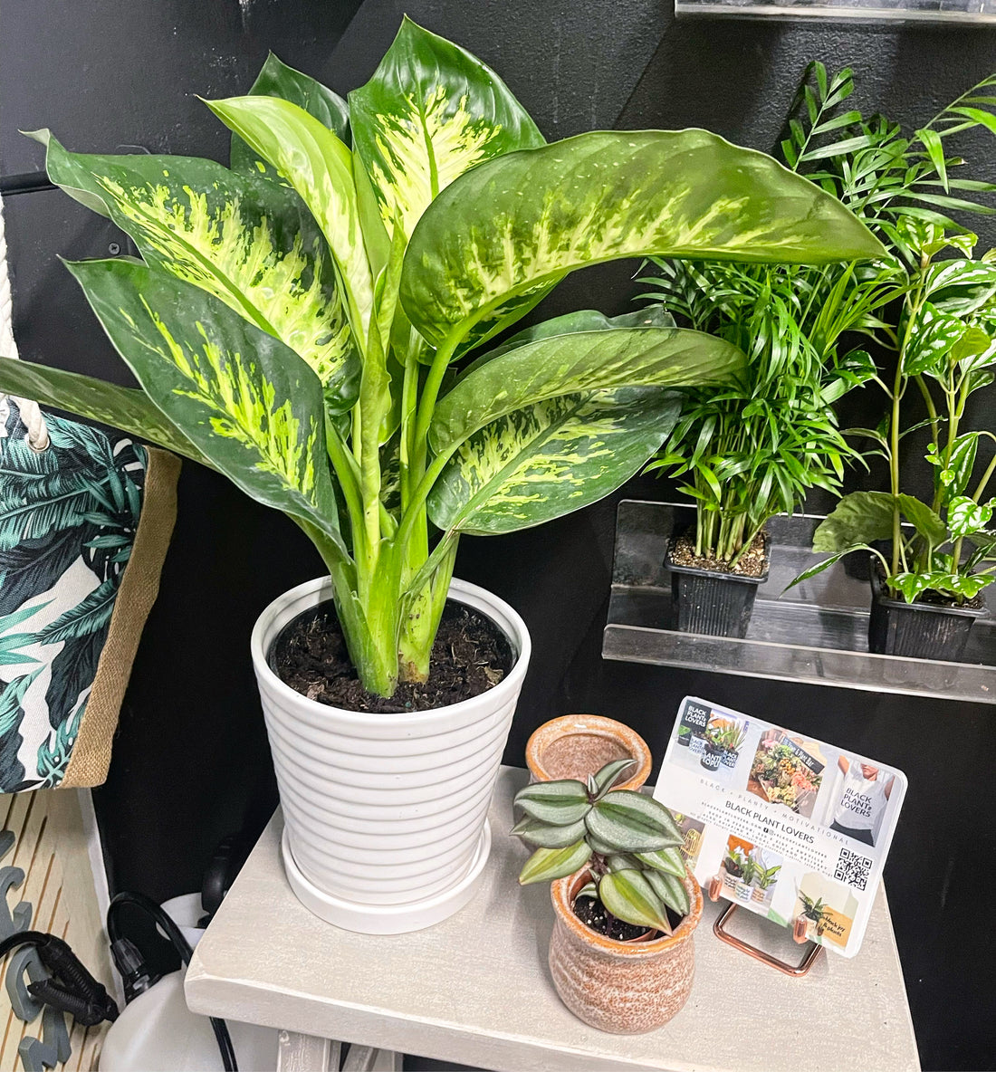 Shop Hours 1/10 - 1/16