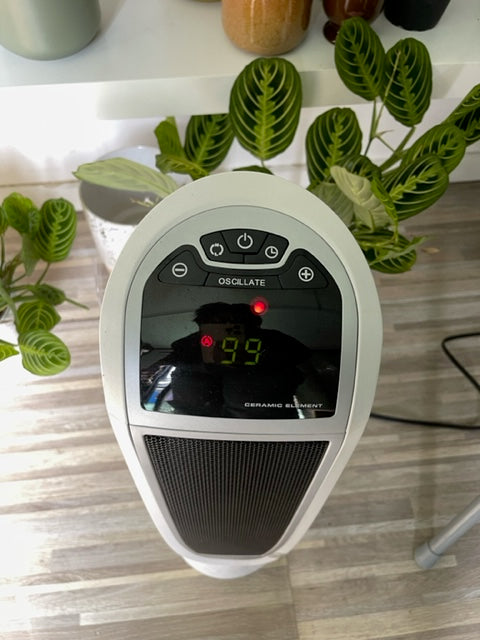 Why My Boxville Shop is Closed