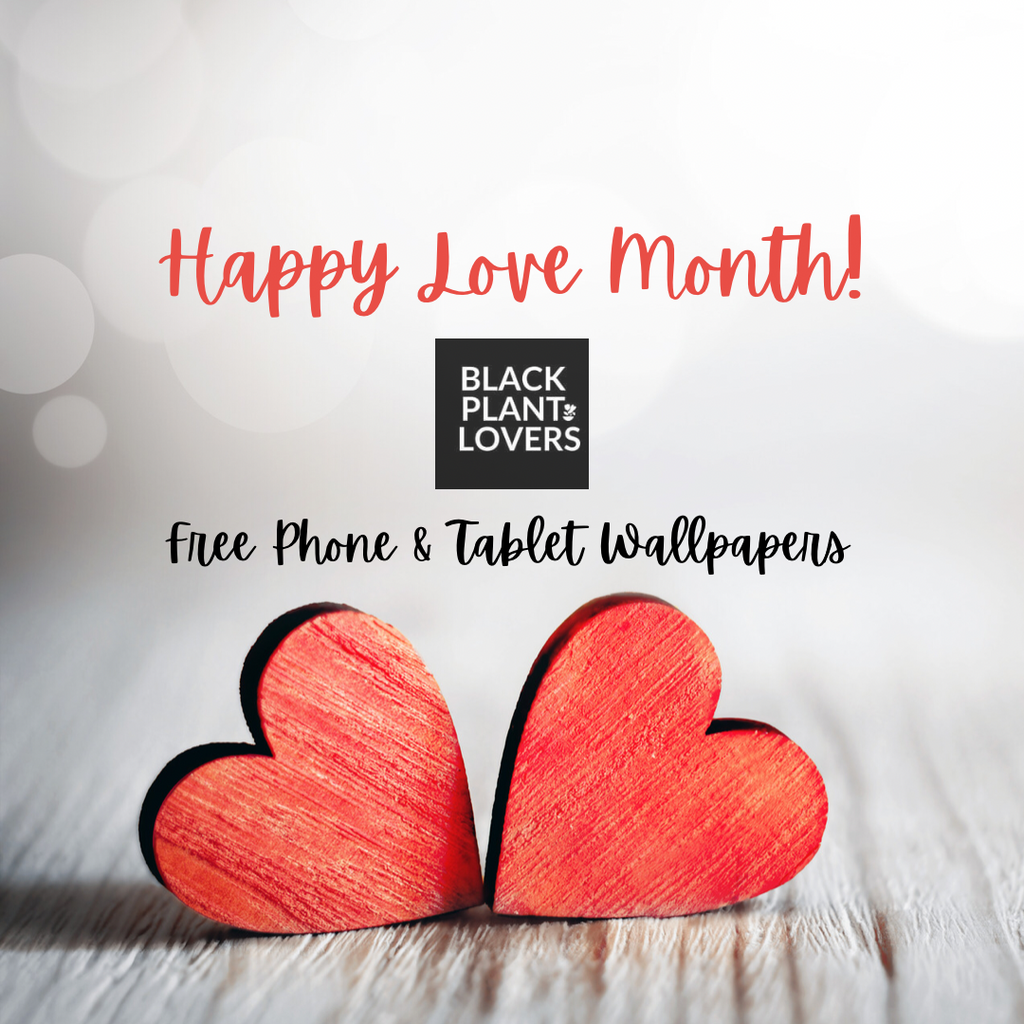 Happy Love Month!