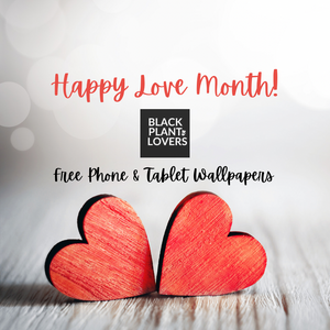 Happy Love Month!