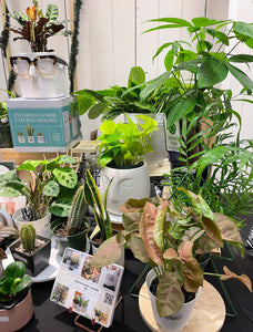 Shop Hours 12/01 - 12/07 & The 3rd Weekend of the State Street Market