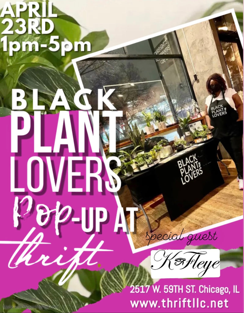 Pop-Ups! 4/16 & 4/23