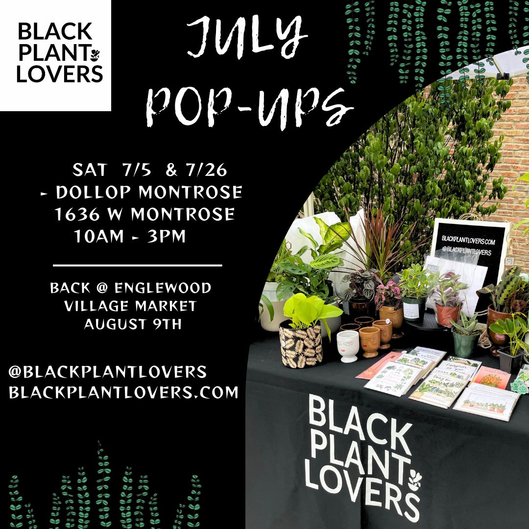 June Pop Ups Recap & July Events