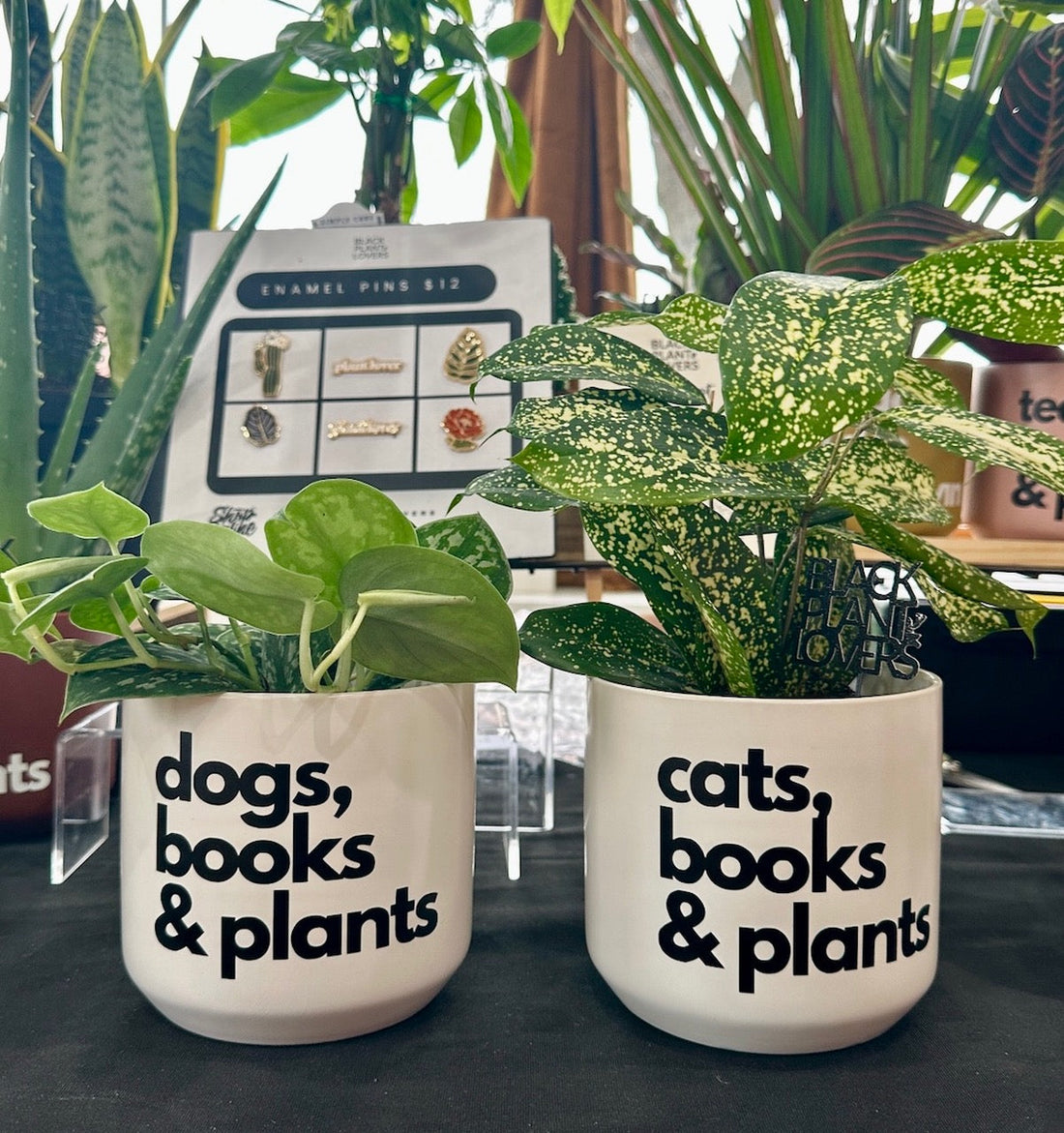 New Year! New Vibes!