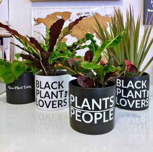 Live Plants