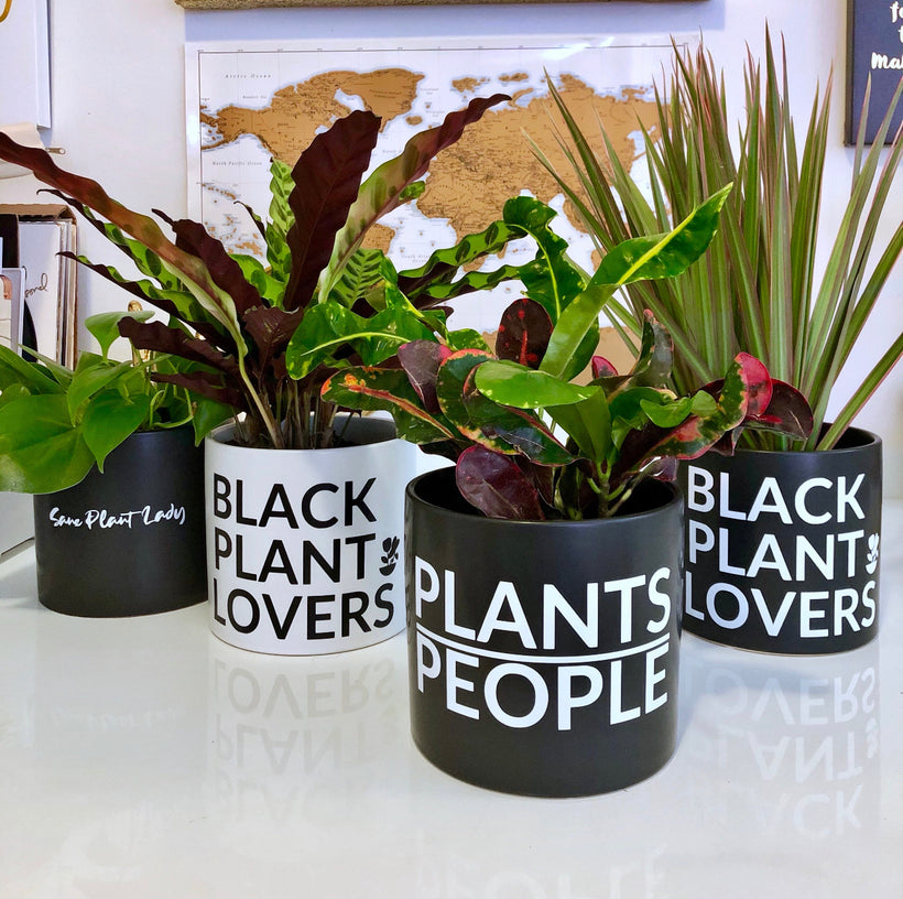 Live Plants