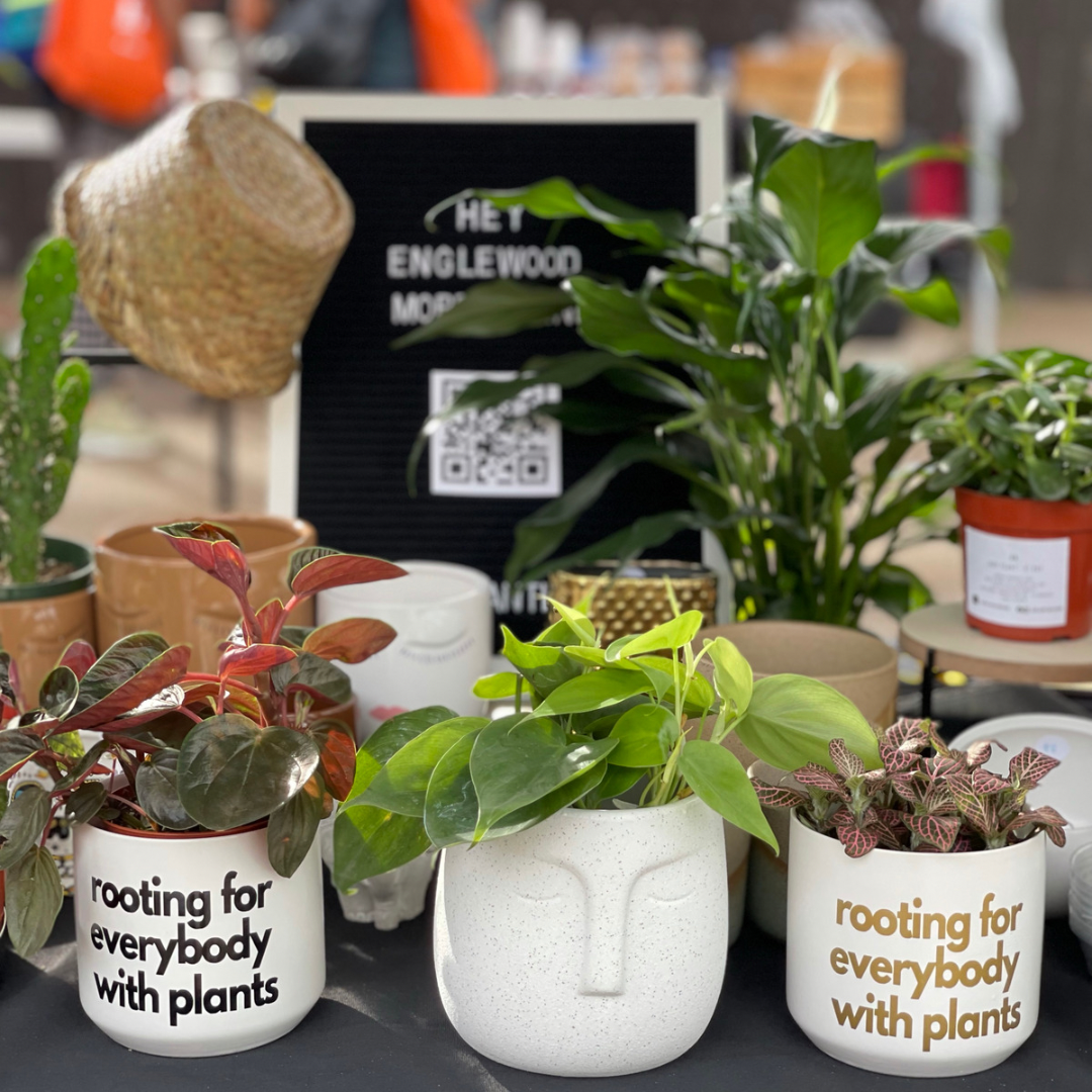 Planters & Accessories