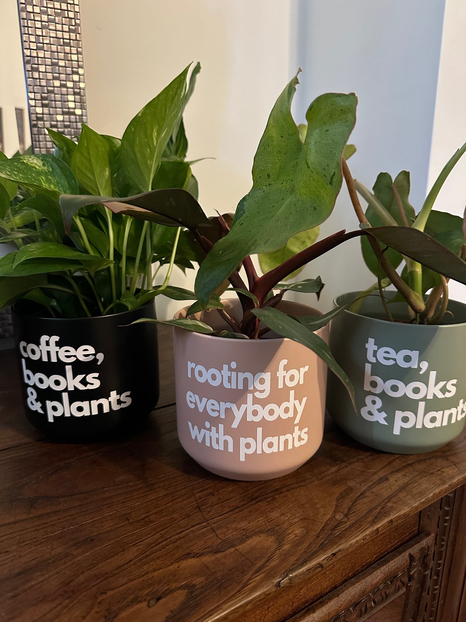 Signature Series Planters - Rooting For Everybody With Plants (3 Colors)