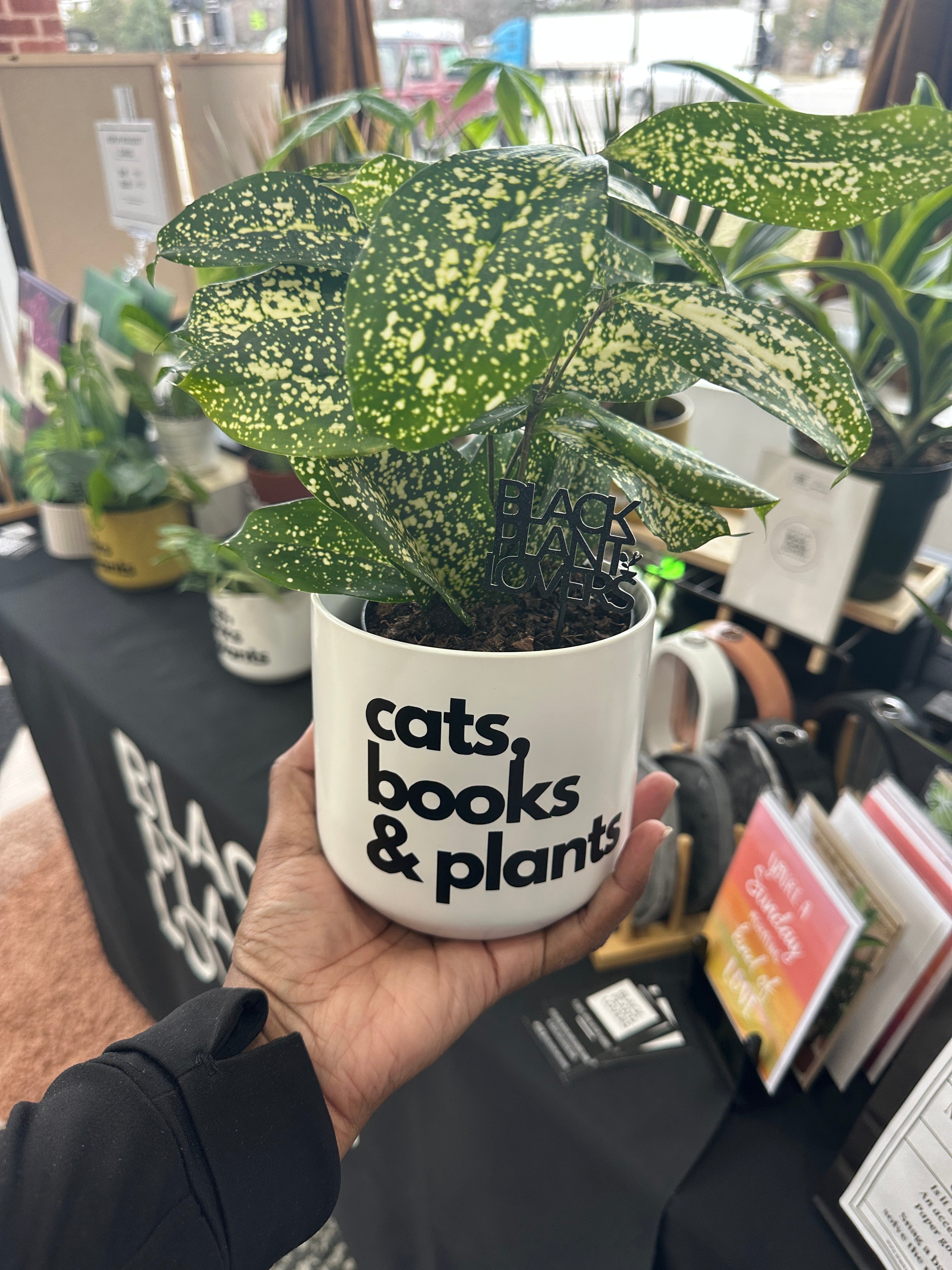 Signature Series Planters - cats, books & plants