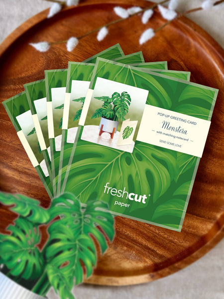 Mini Monstera Plant Pop-up Greeting Cards
