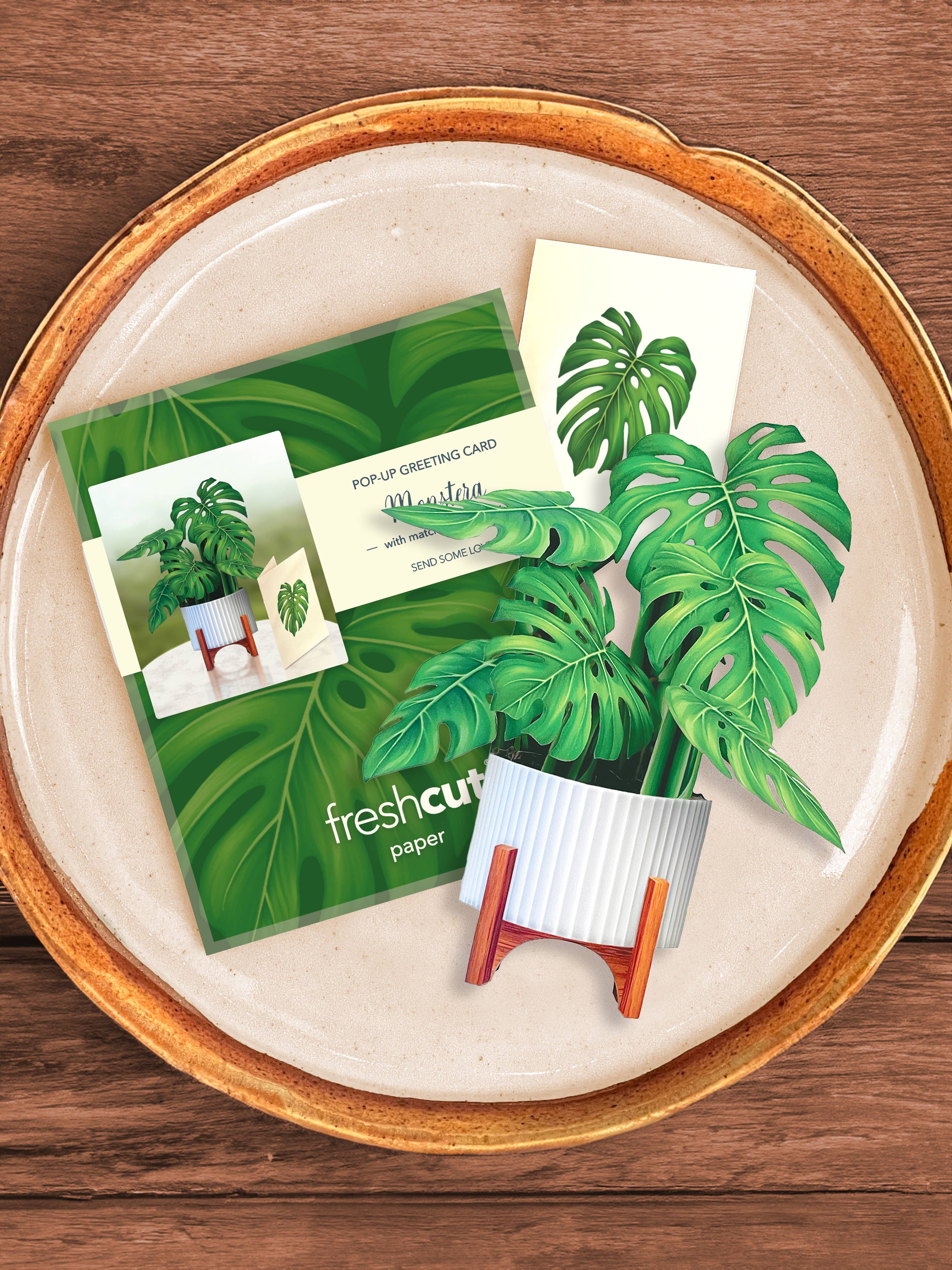 Mini Monstera Plant Pop-up Greeting Cards