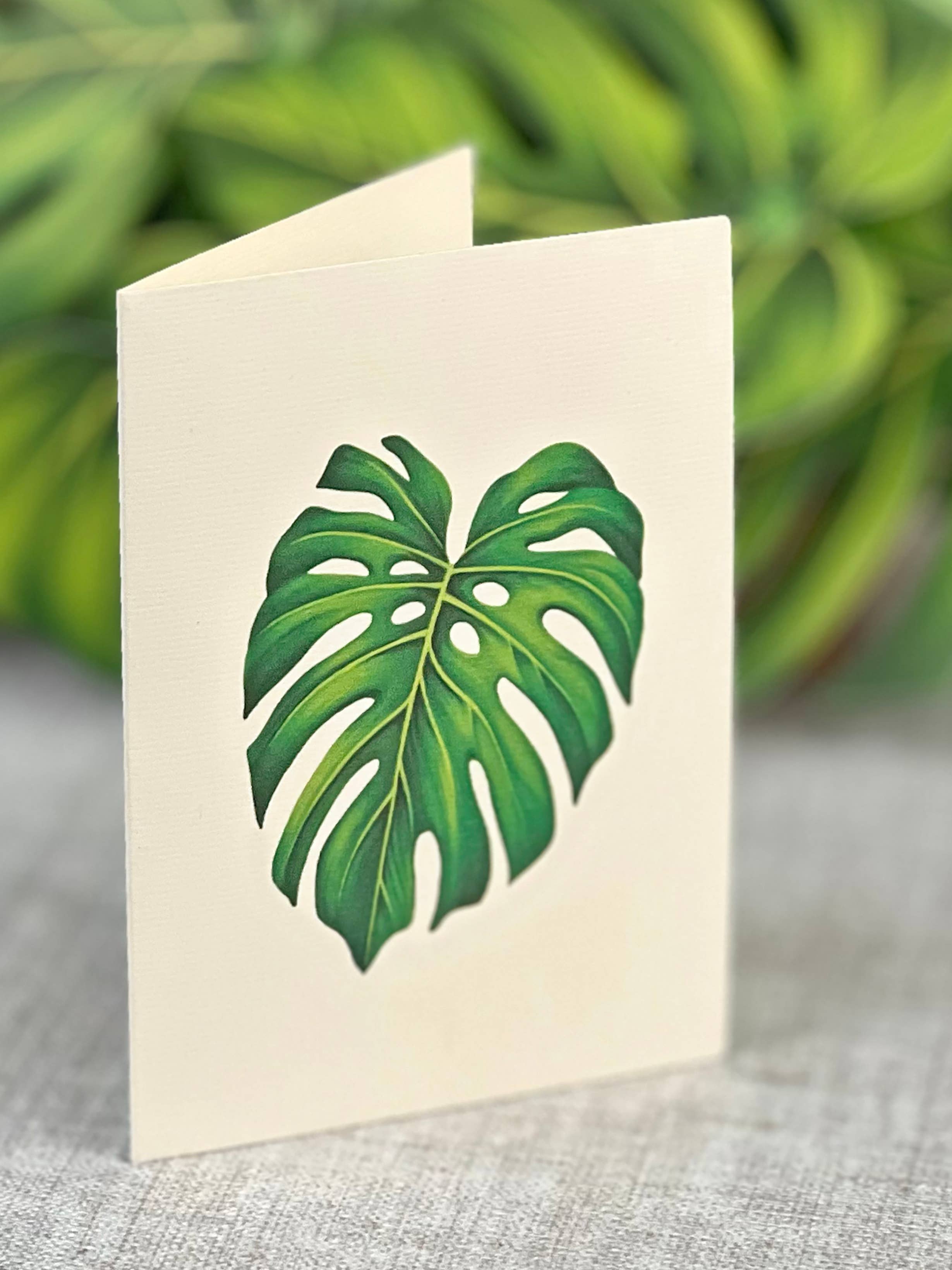 Monstera Plant Pop-up Greeting Cards