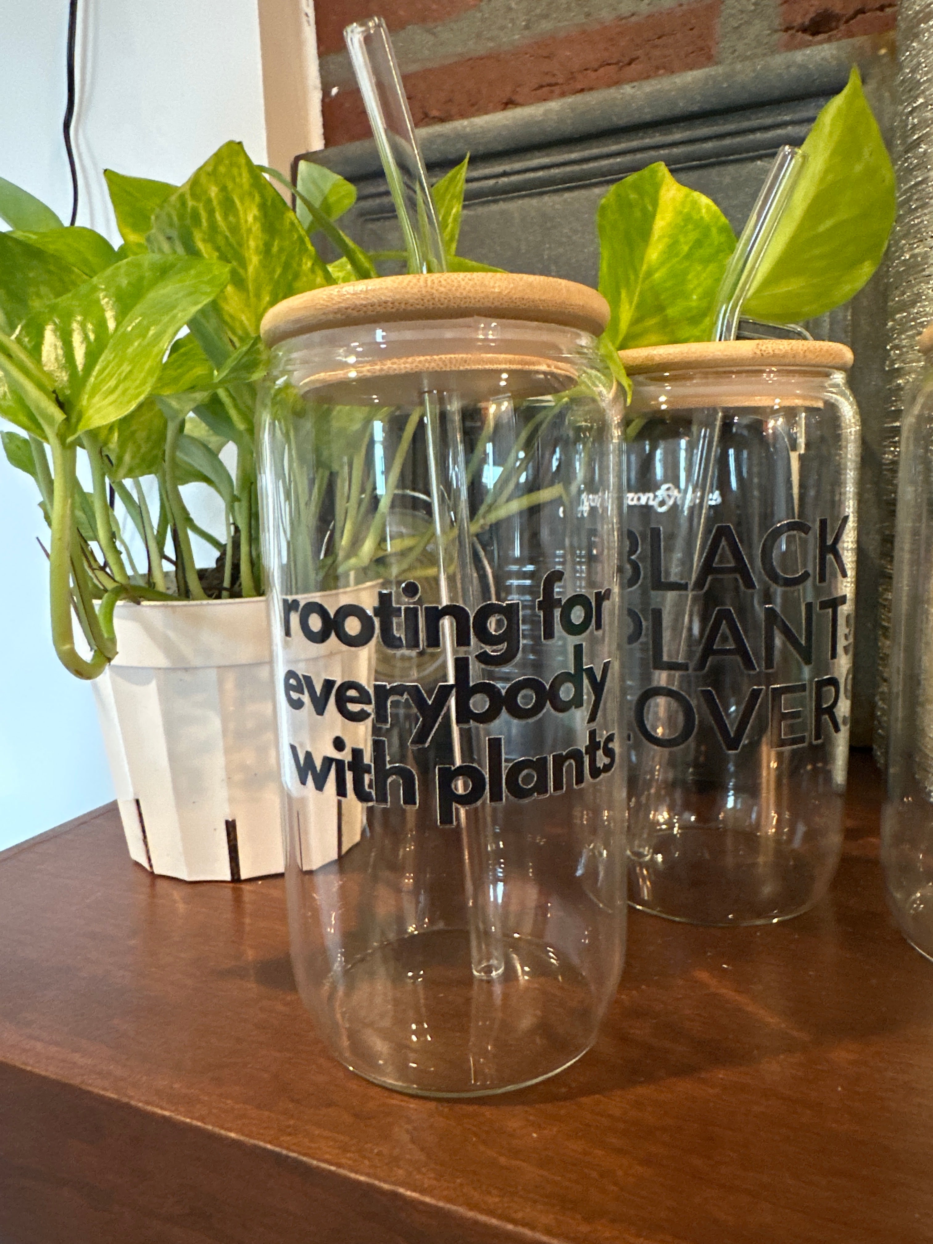 Rooting for Everybody With Plants 16 oz Can Cup w/Straw, Lid, Straw Cleaning Brush & Gift Box