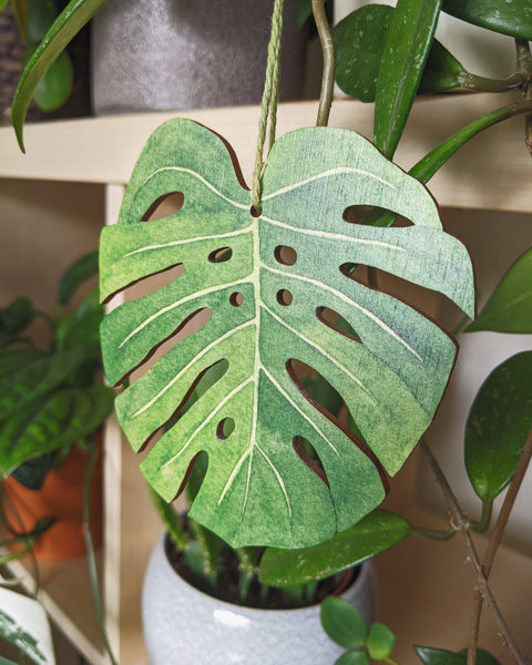 Monstera Deliciosa Hanging Decoration