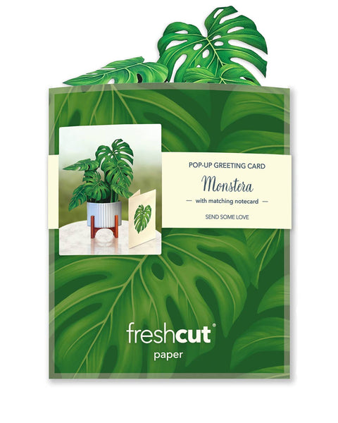Mini Monstera Plant Pop-up Greeting Cards