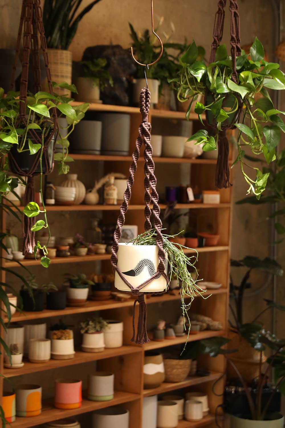 double hanging plant holder Double Helix Plant Hanger - Accommodates a 4"