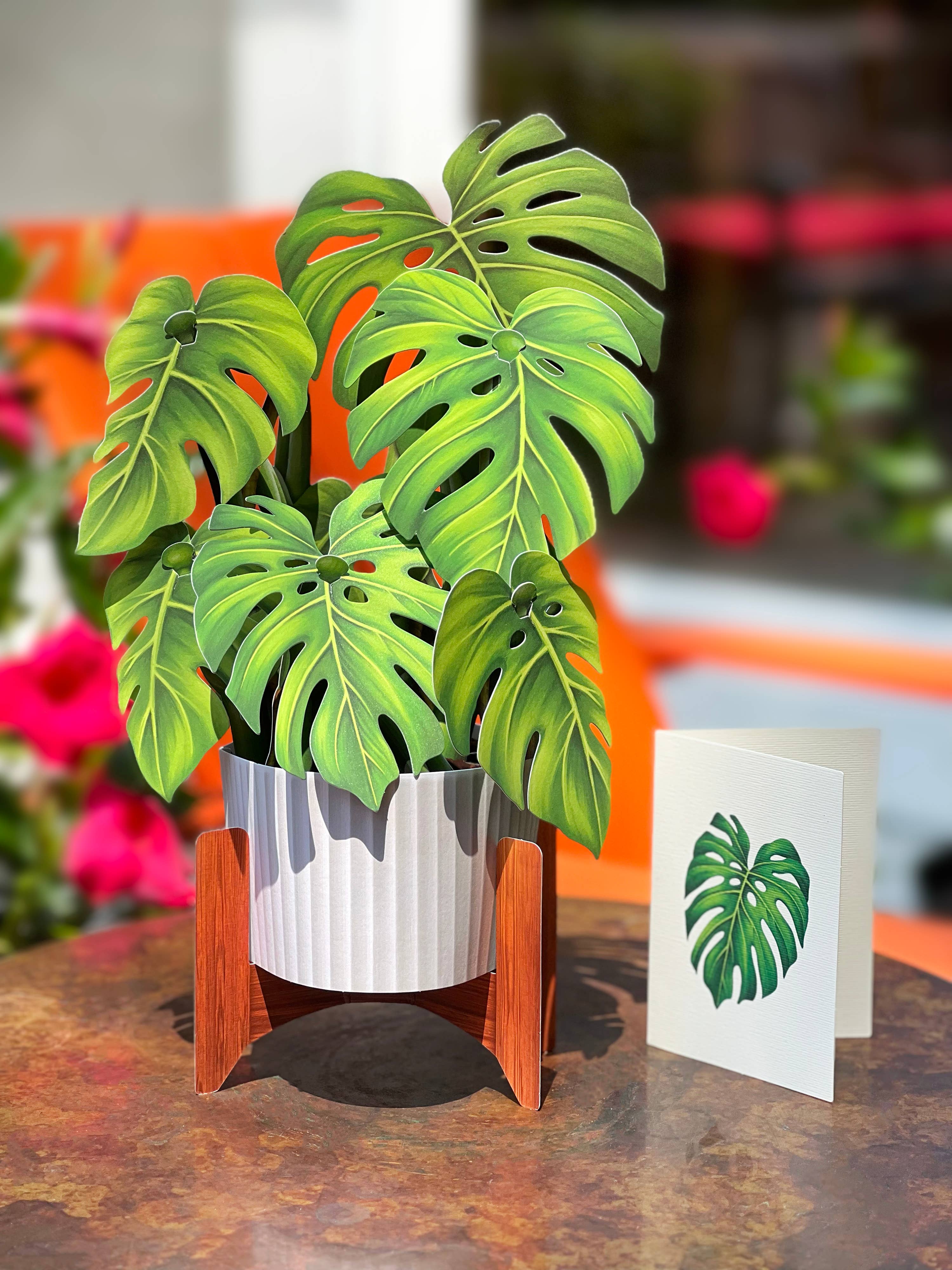 Monstera Plant Pop-up Greeting Cards