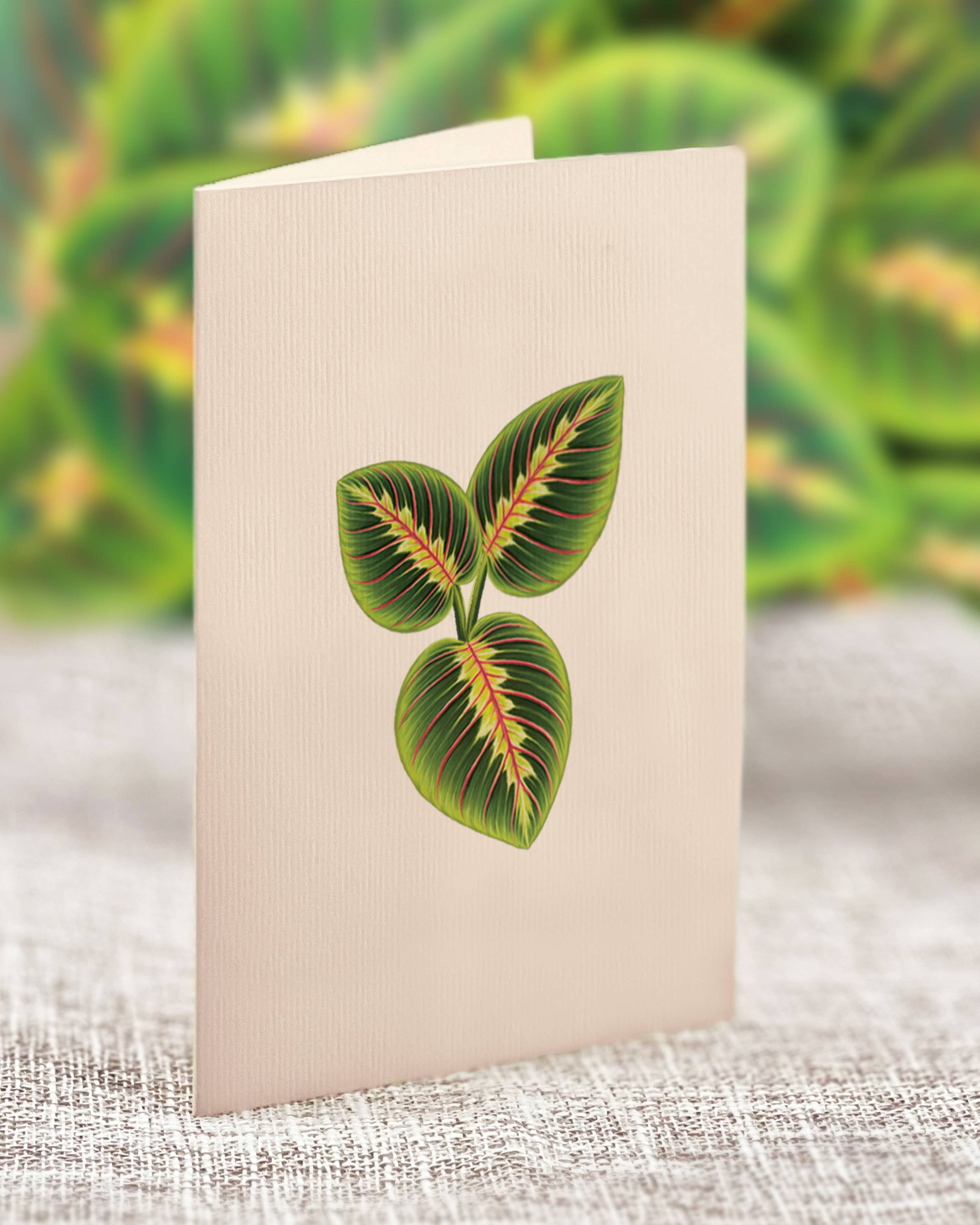 Mini Prayer Plant Pop-up Greeting Cards