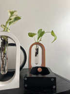 Arch Propagation Station Vase