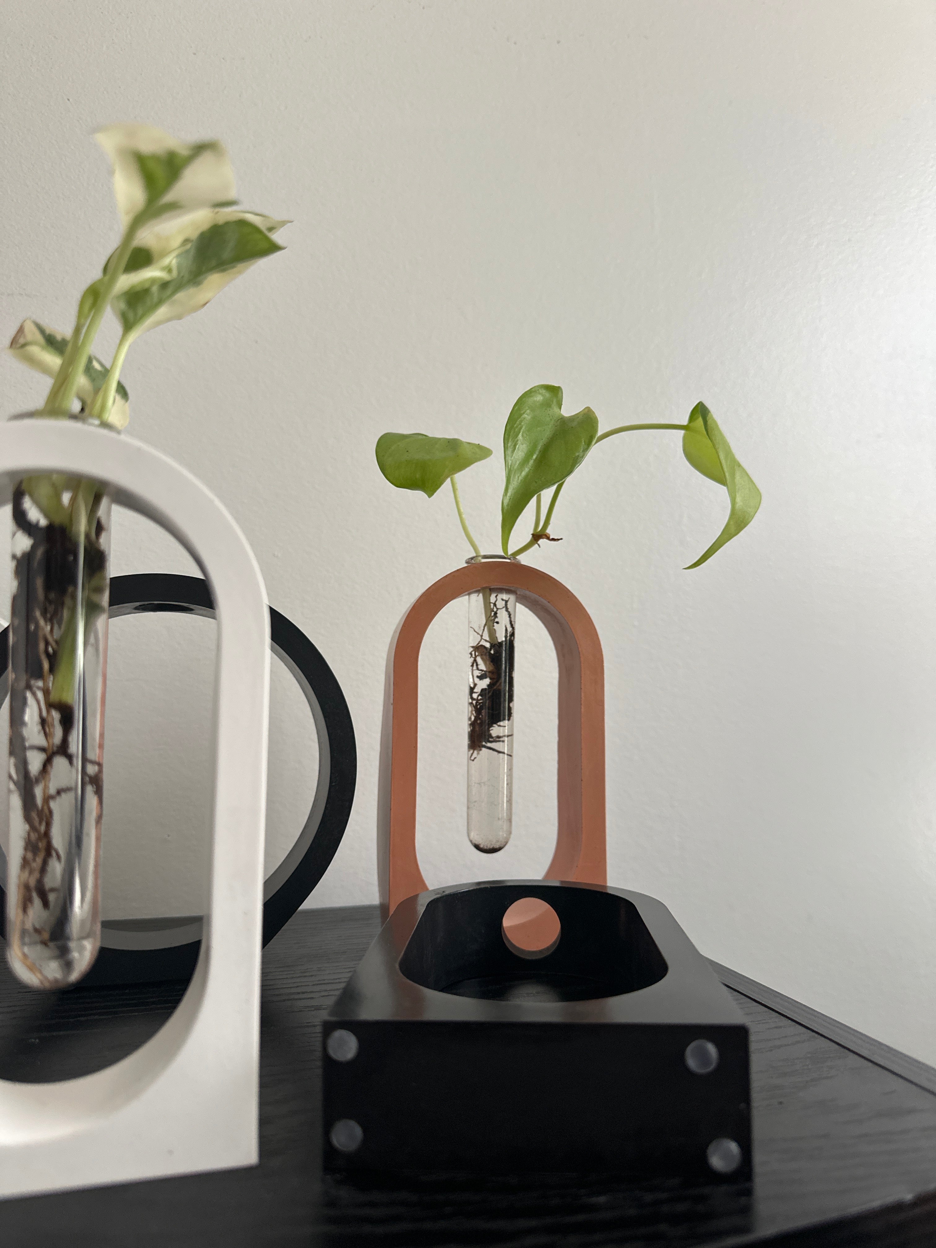 Arch Propagation Station Vase