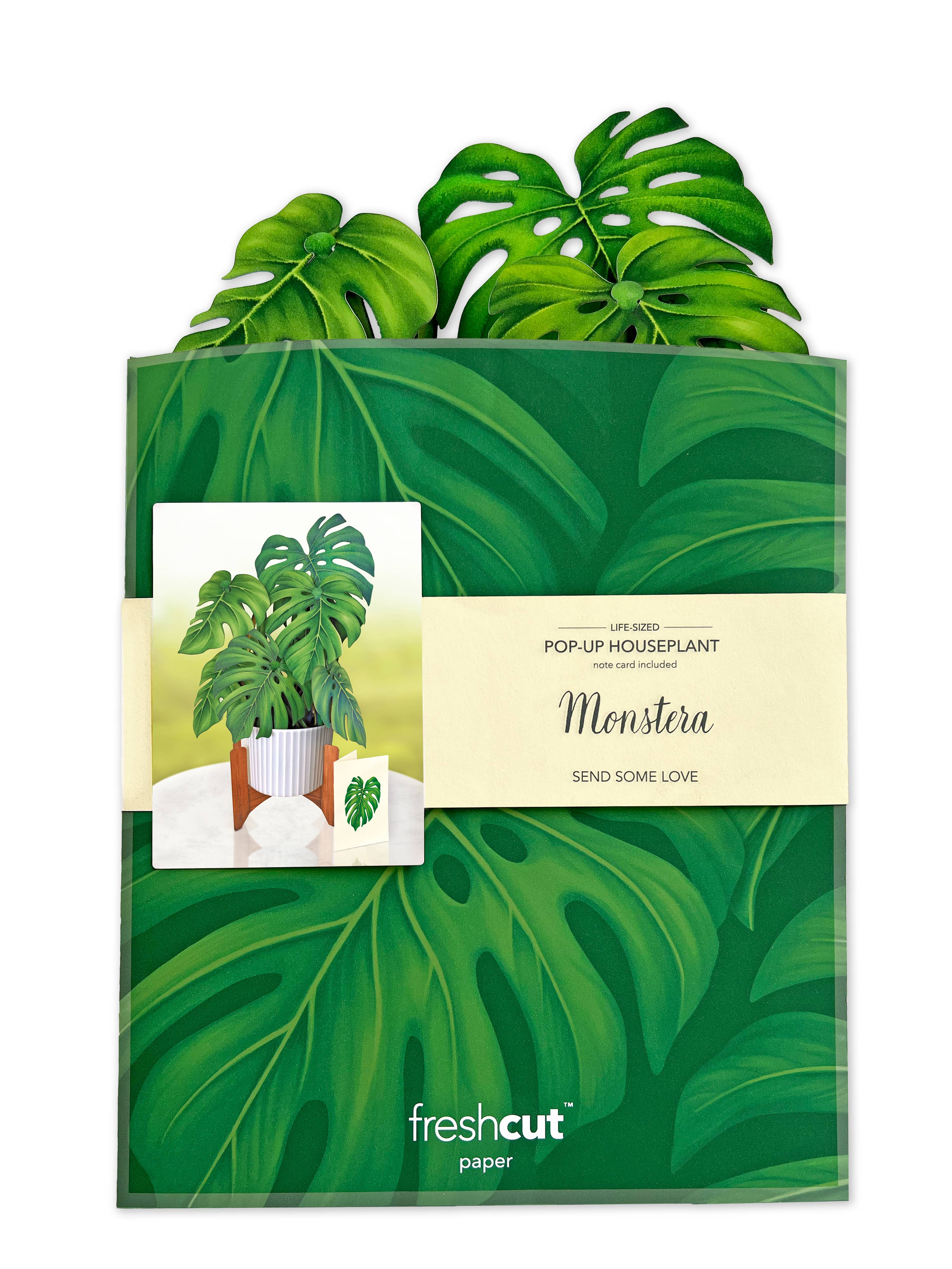 Monstera Plant Pop-up Greeting Cards