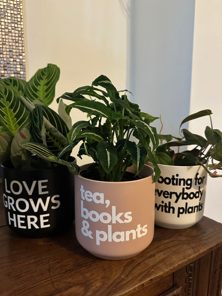 Signature Series Planters - tea, books & plants (5 Color Combos)