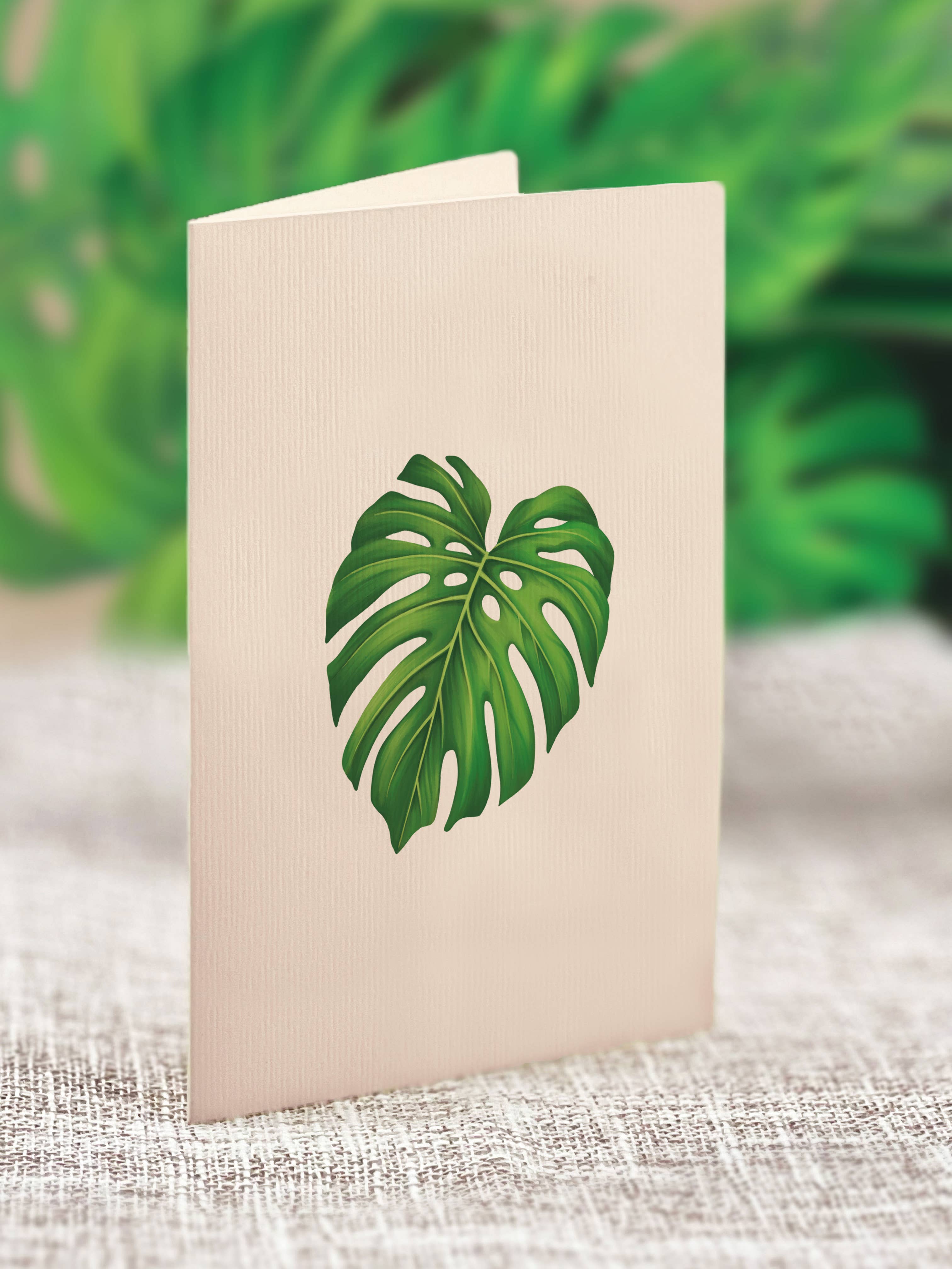 Mini Monstera Plant Pop-up Greeting Cards