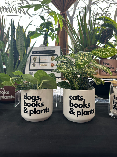 cats, books & plants planter