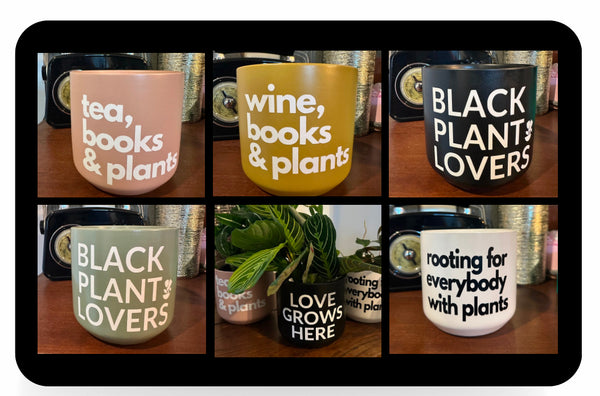 Signature Series Planters - cats, books & plants