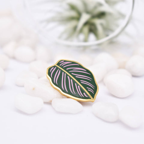 Calathea Plant Enamel Pin