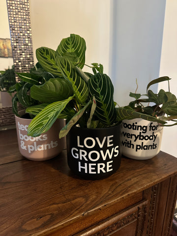 Signature Series Planters - Love Grows Here (2 Color Combos)