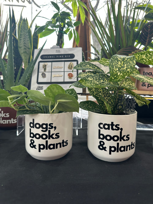 dogs, books & plants planter