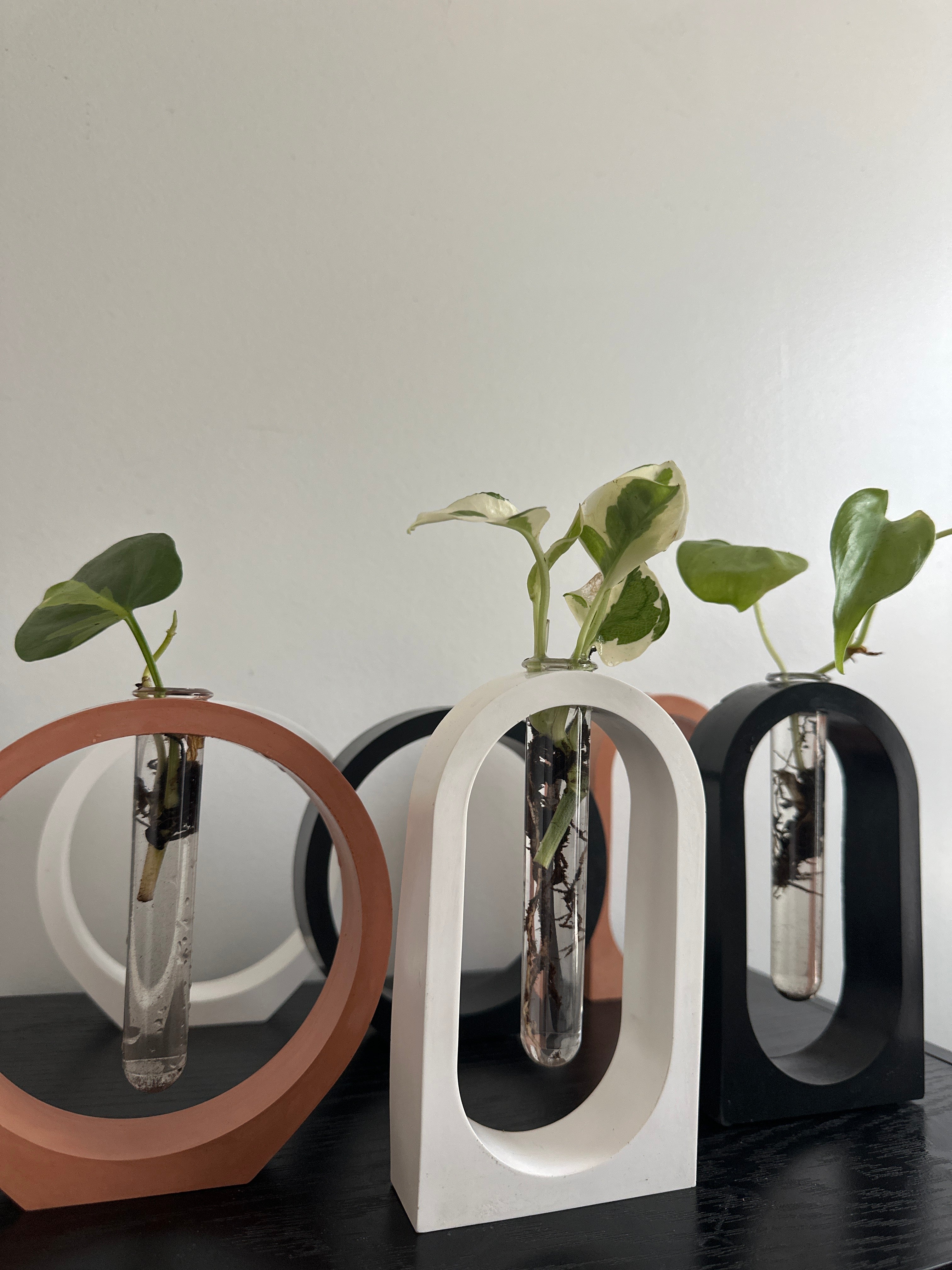 Arch Propagation Station Vase