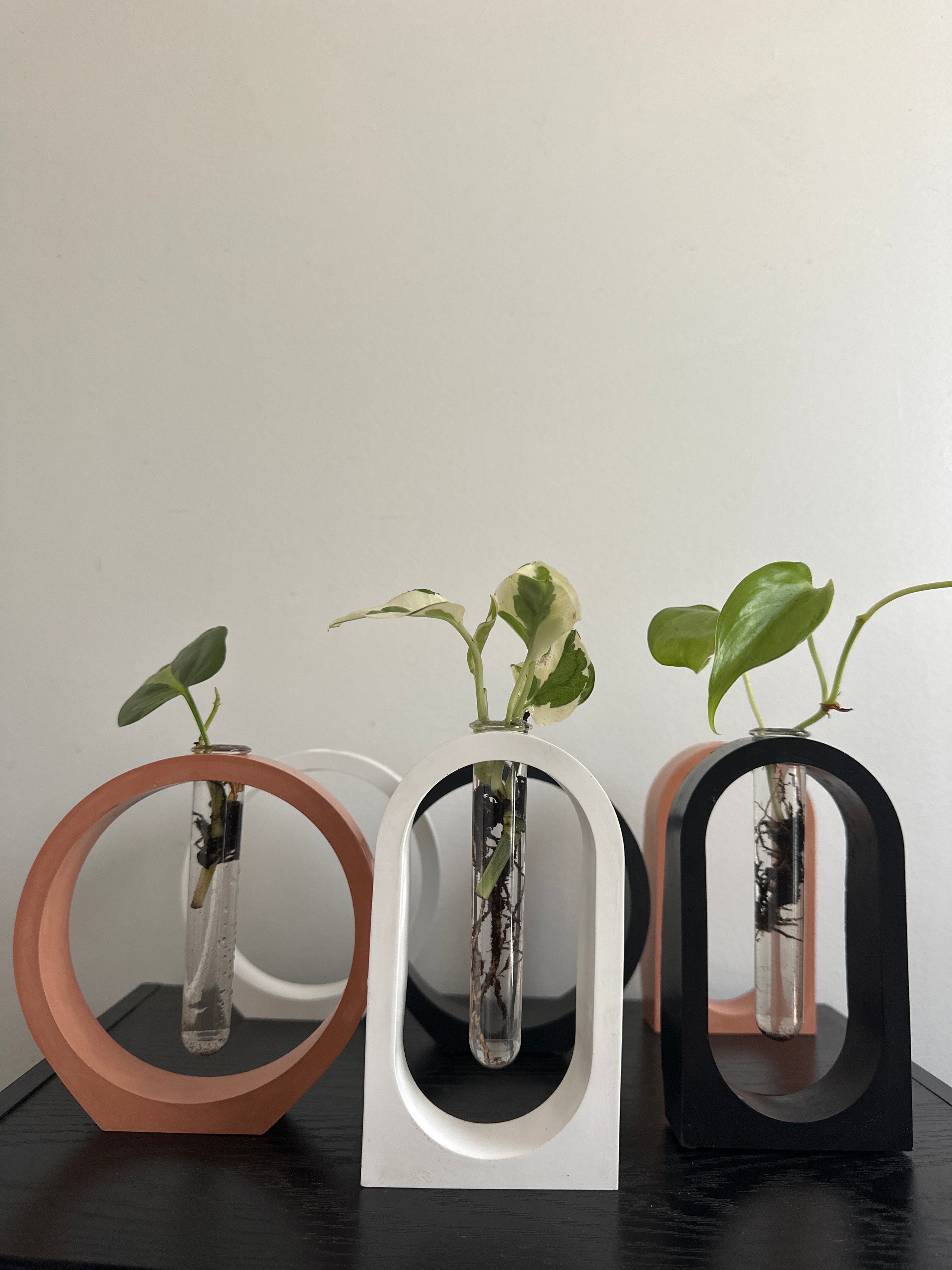 Arch Propagation Station Vase