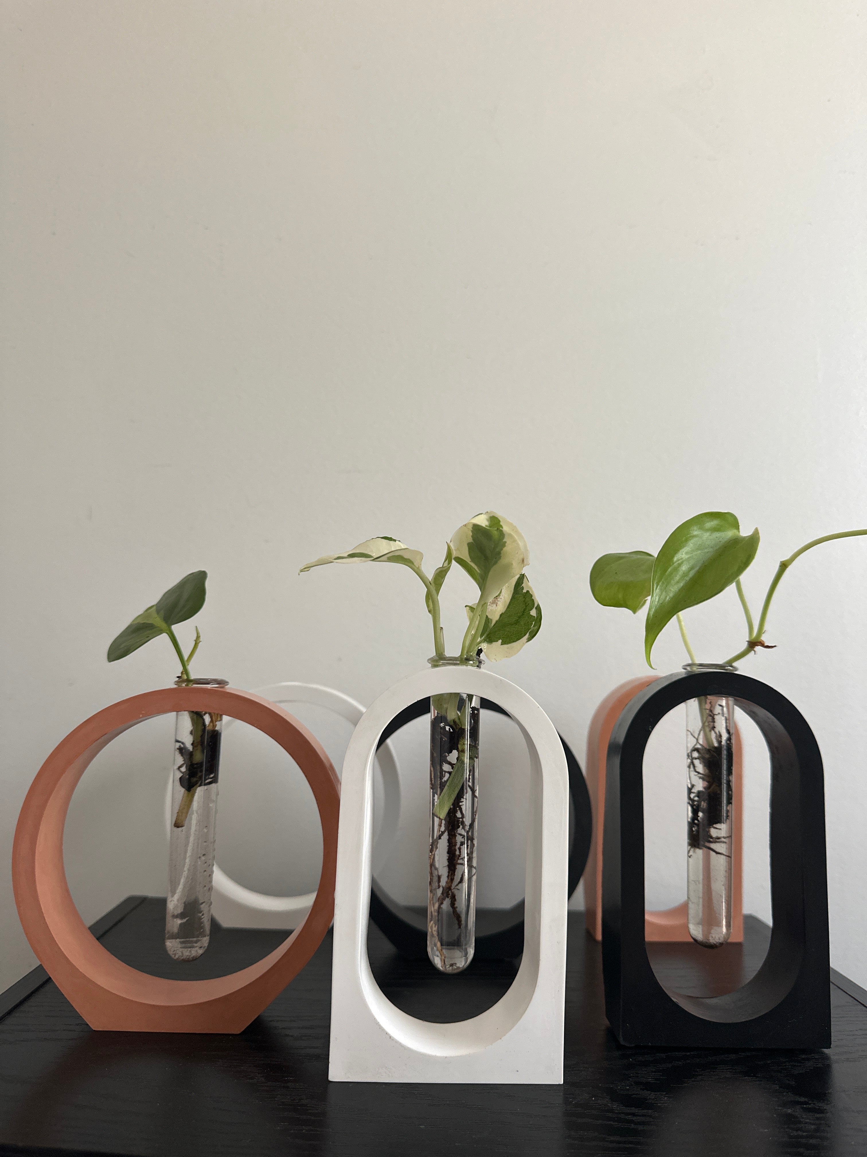 Arch Propagation Station Vase