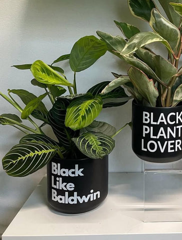 Signature Series Planters  - Black Like Baldwin