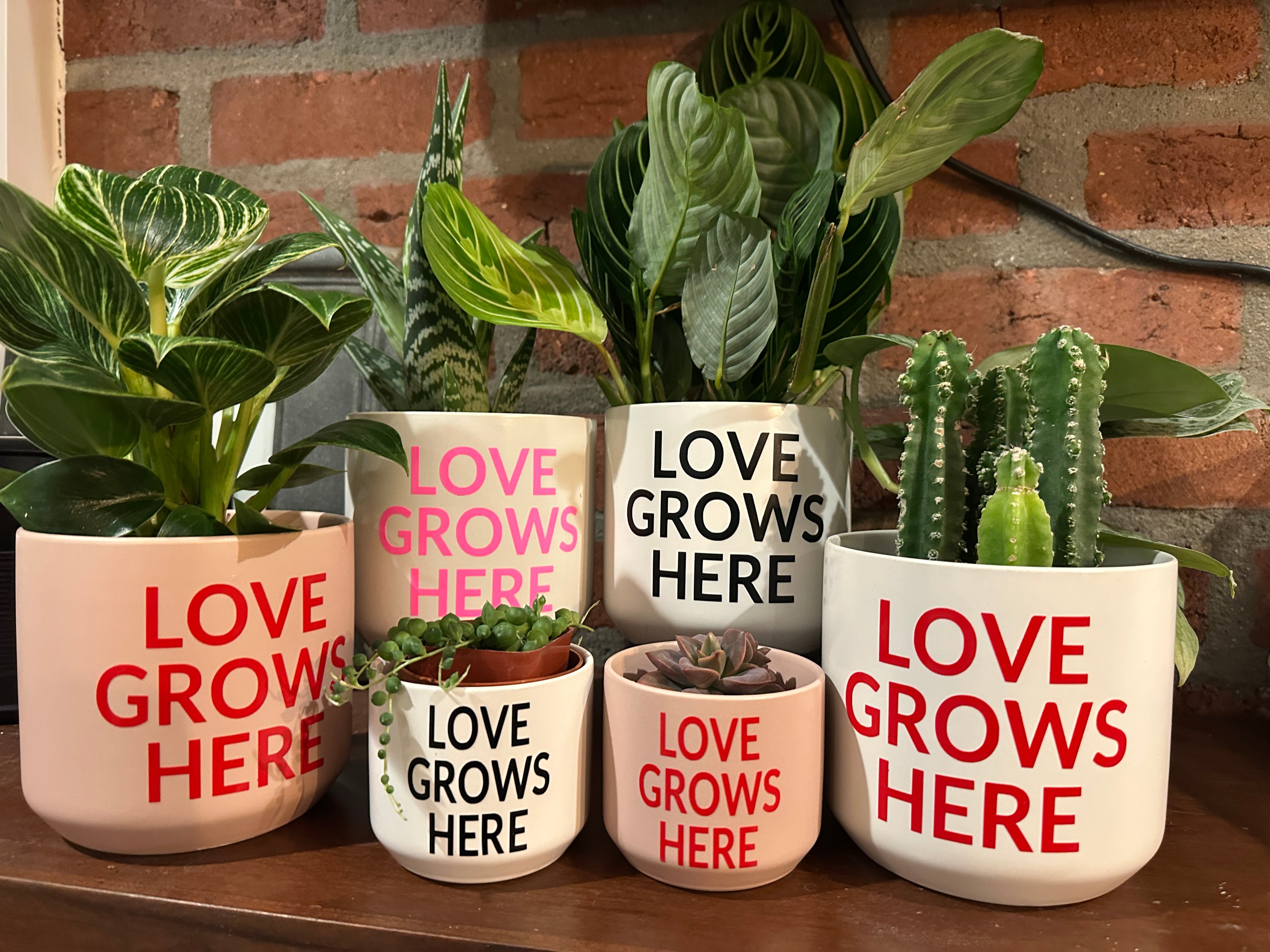 Signature Series Planters - Love Grows Here (New Colors)