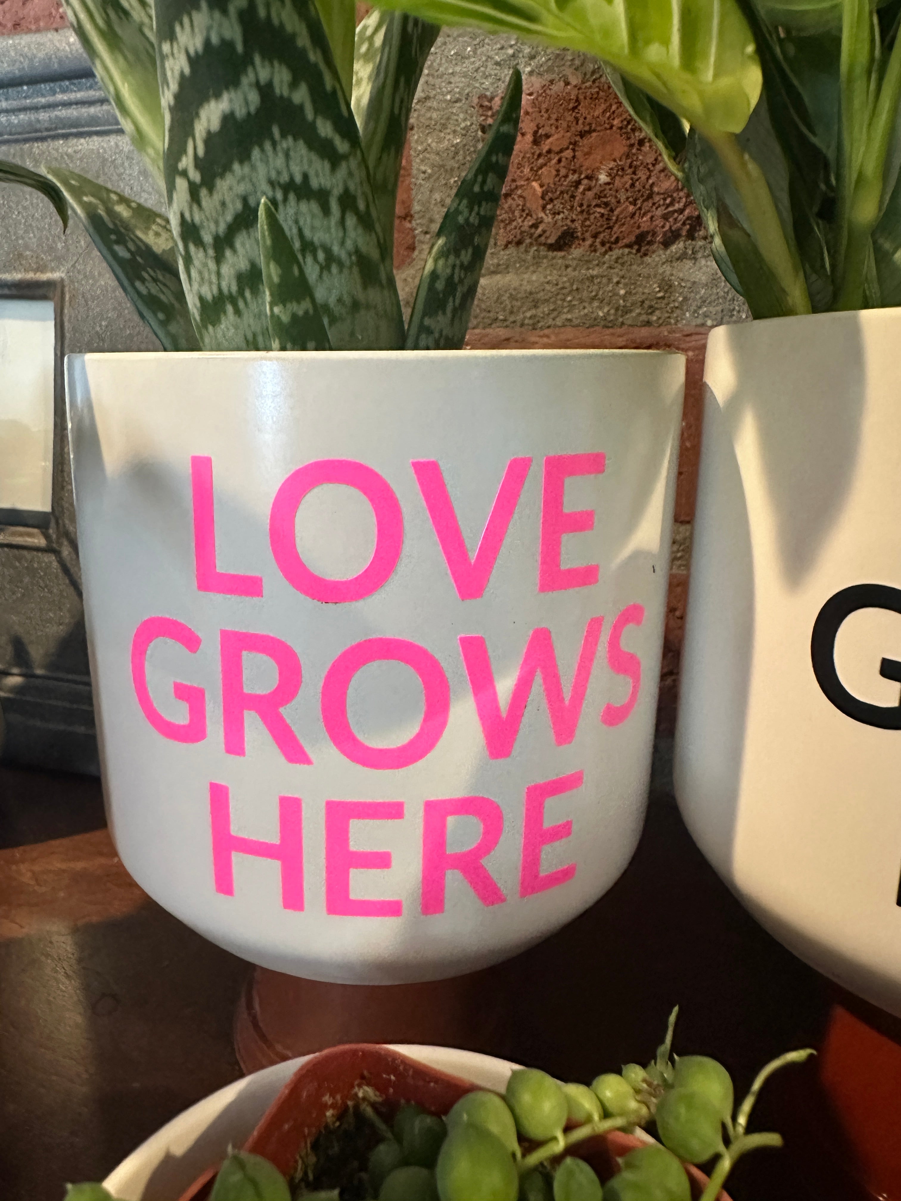 Signature Series Planters - Love Grows Here (New Colors)