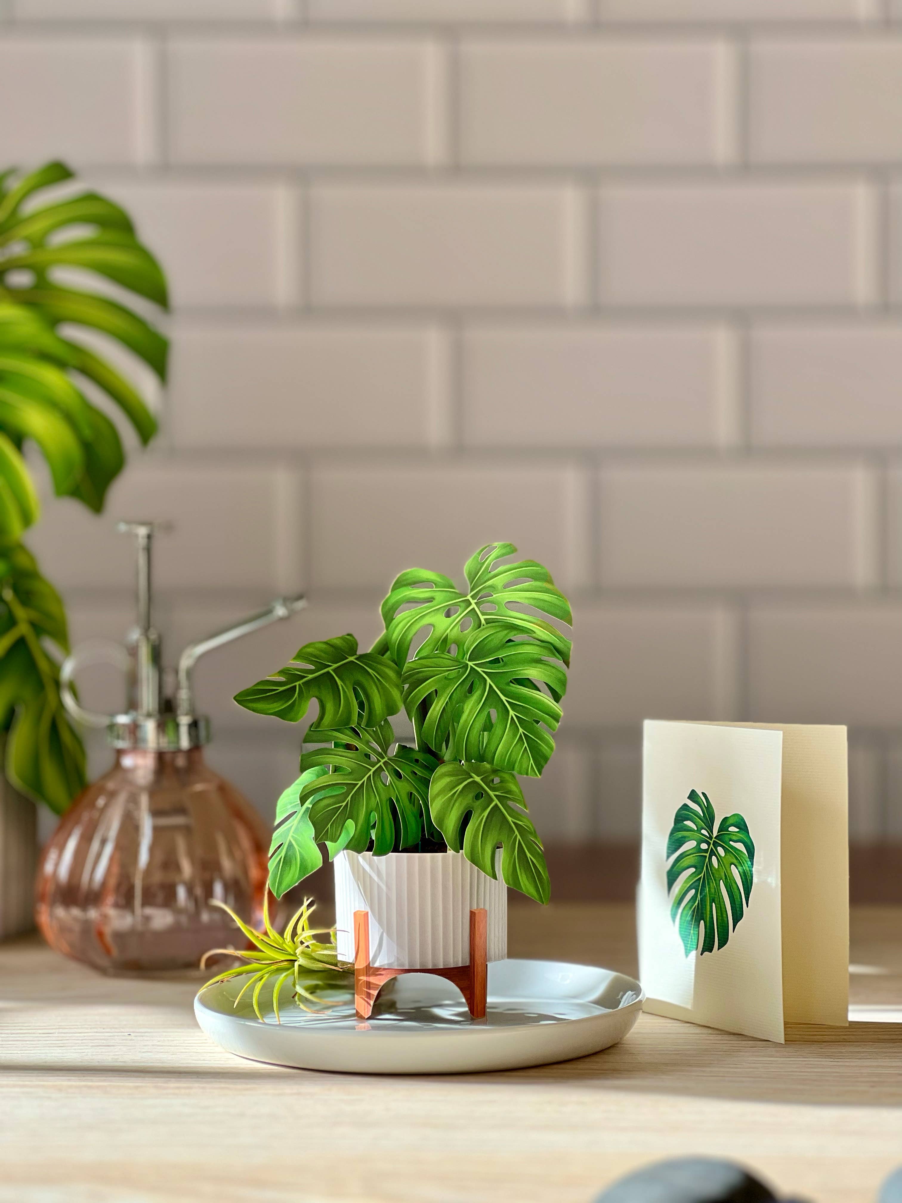 Mini Monstera Plant Pop-up Greeting Cards