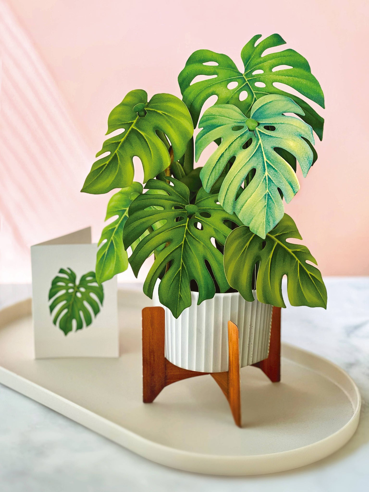 Monstera Plant Pop-up Greeting Cards