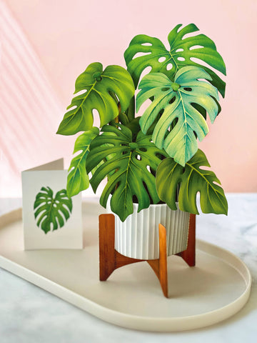 Monstera Plant Pop-up Greeting Cards