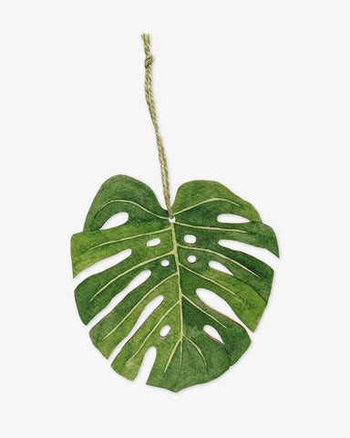 Monstera Deliciosa Hanging Decoration