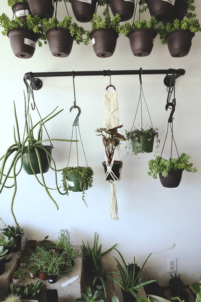 Wall Plant Hanger - Accommodates 4"-5" Planter