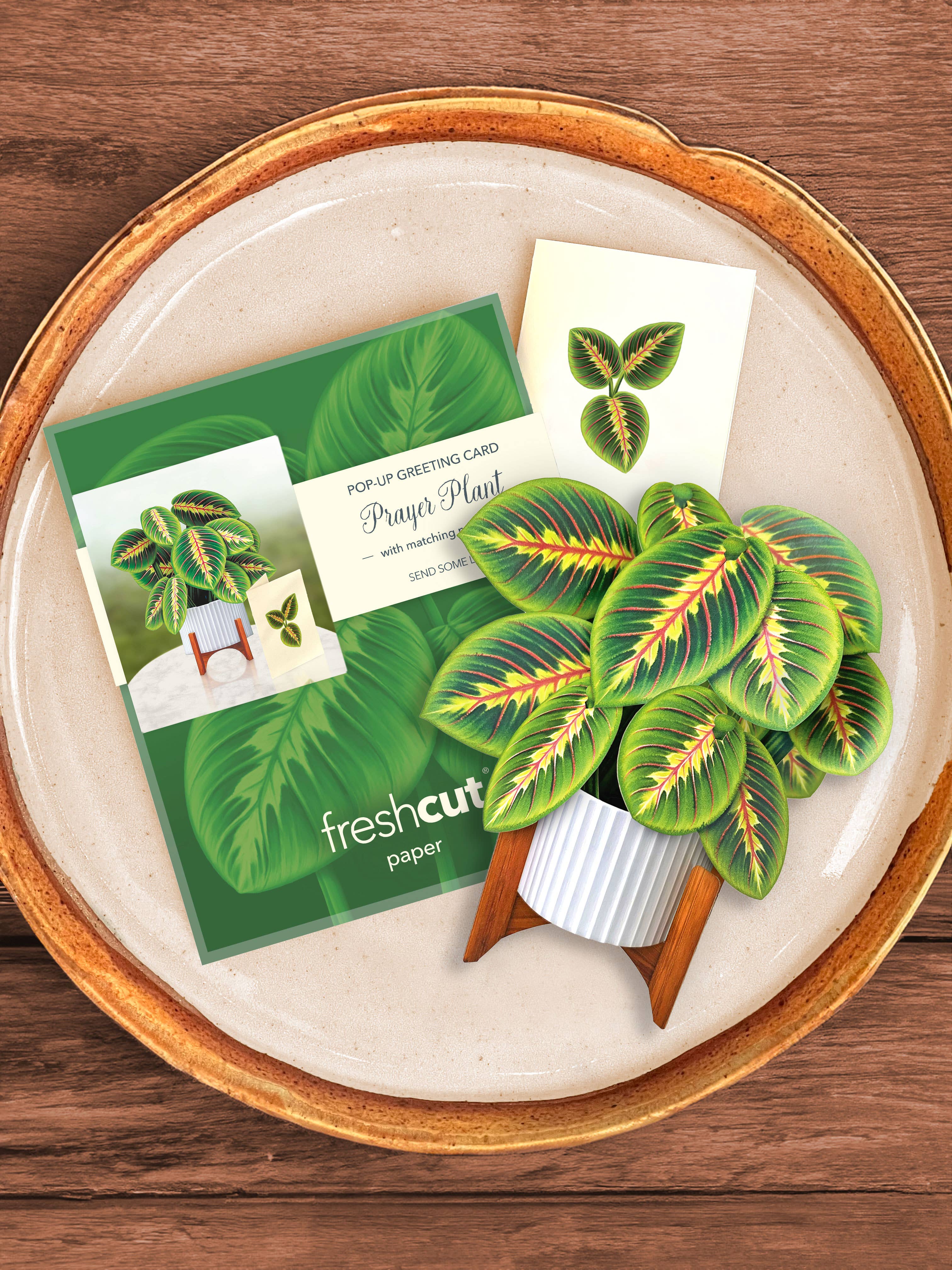 Mini Prayer Plant Pop-up Greeting Cards