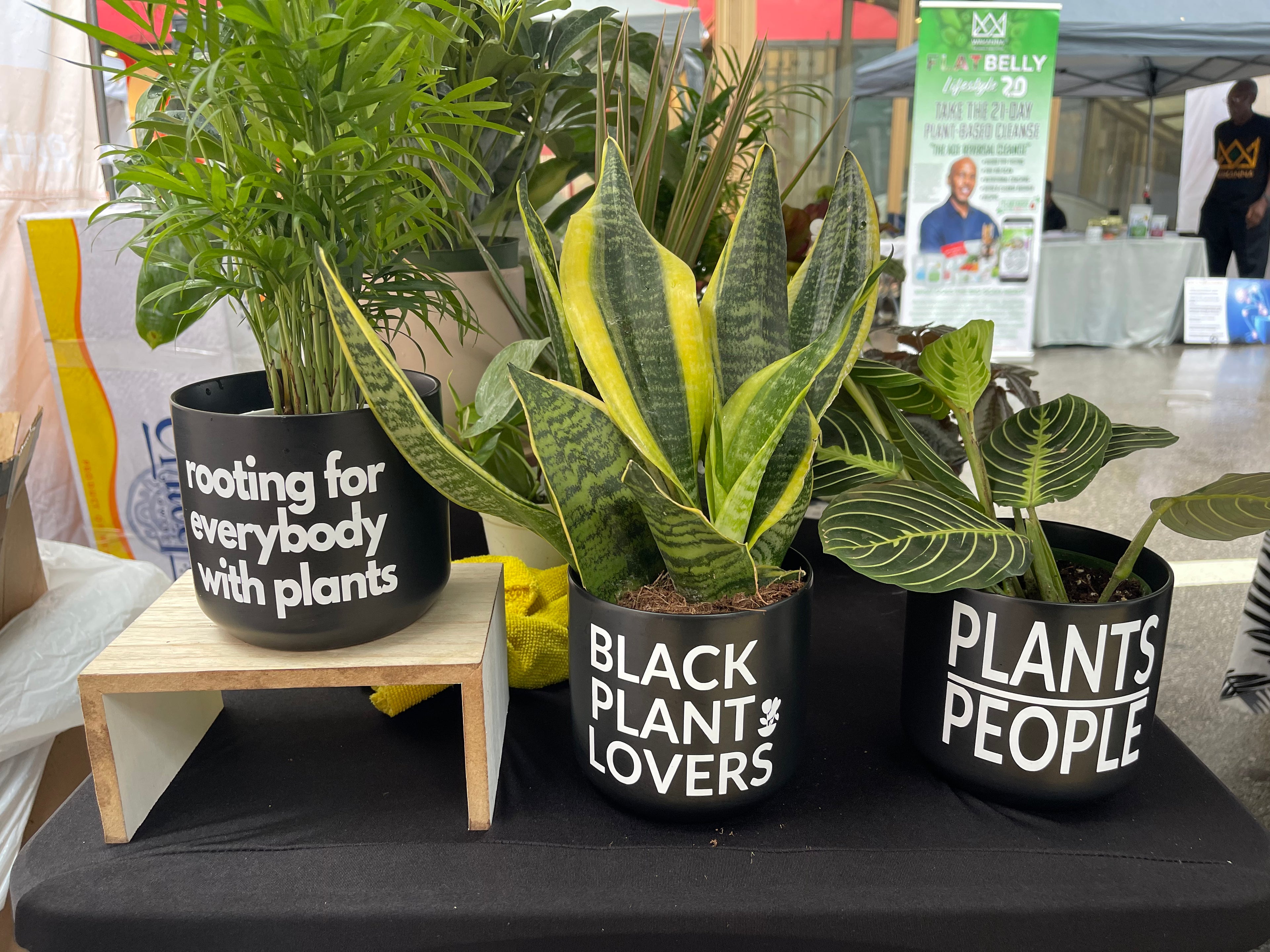 indoor plant lovers Signature Series Planters