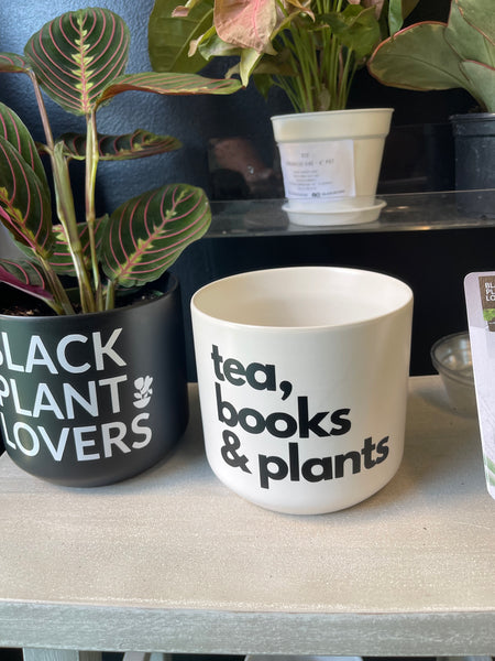 Signature Series Planters - tea, books & plants (5 Color Combos)